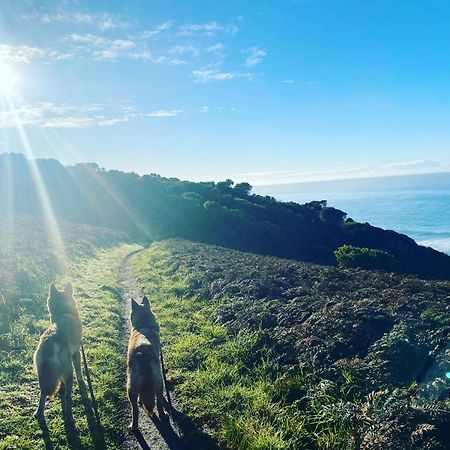 Great Ocean Road Wellness And Nature Stay Apollo Bay Luaran gambar