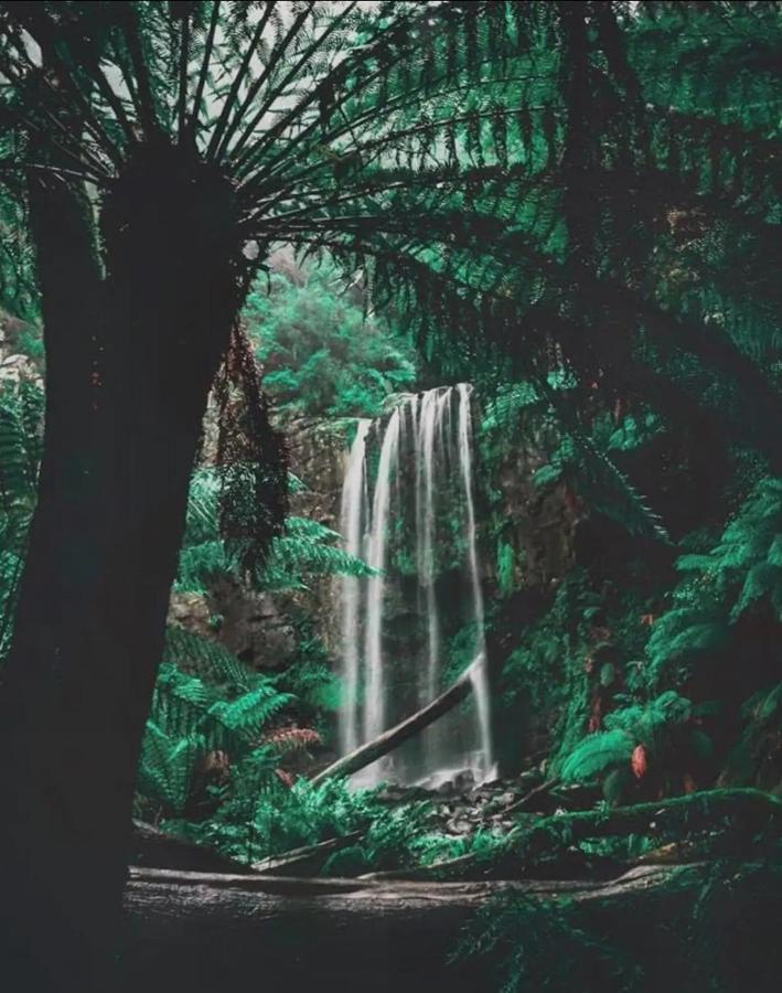 Great Ocean Road Wellness And Nature Stay Apollo Bay Luaran gambar