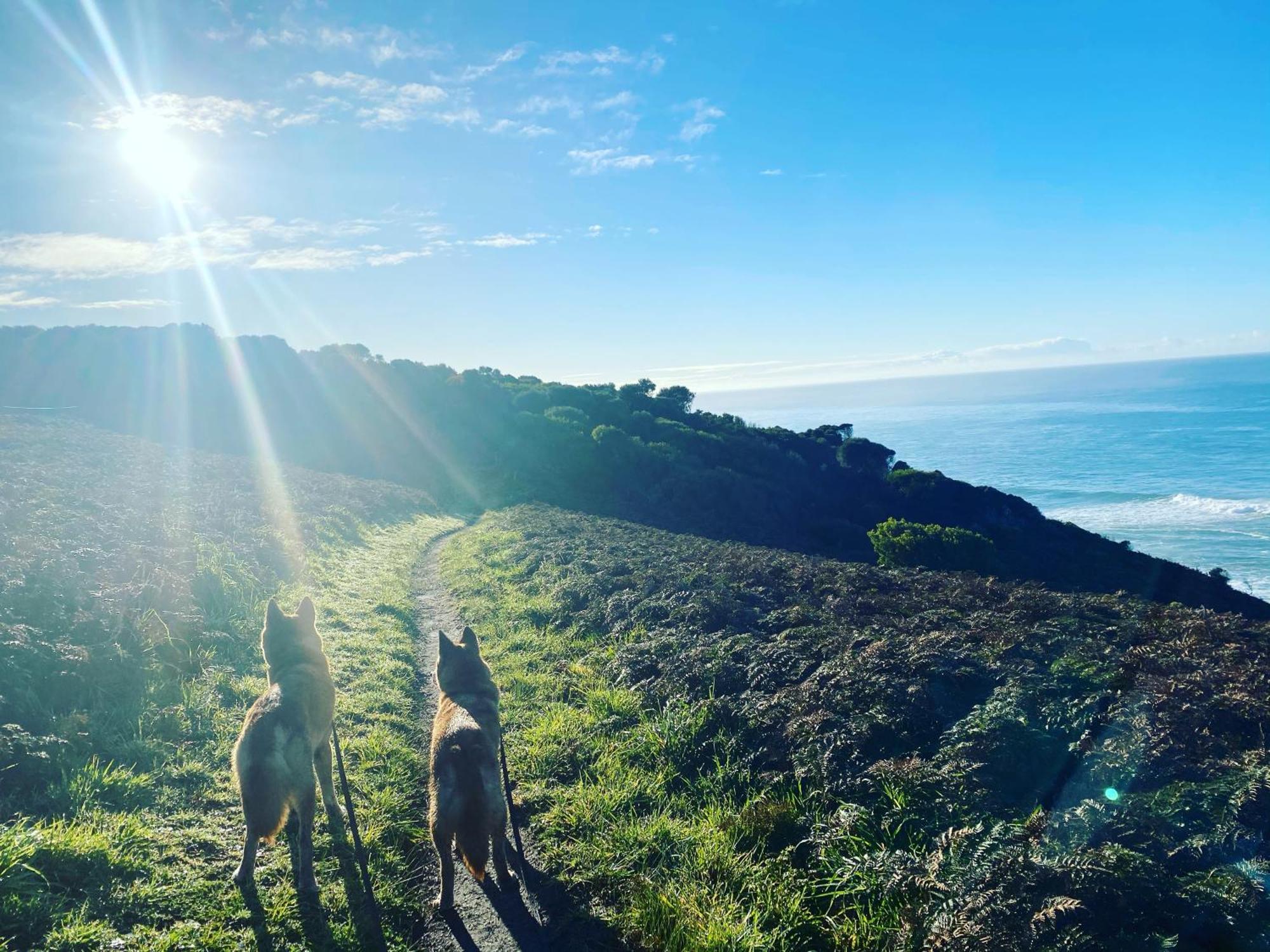 Great Ocean Road Wellness And Nature Stay Apollo Bay Luaran gambar