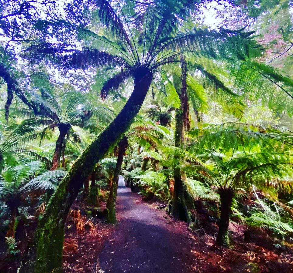 Great Ocean Road Wellness And Nature Stay Apollo Bay Luaran gambar