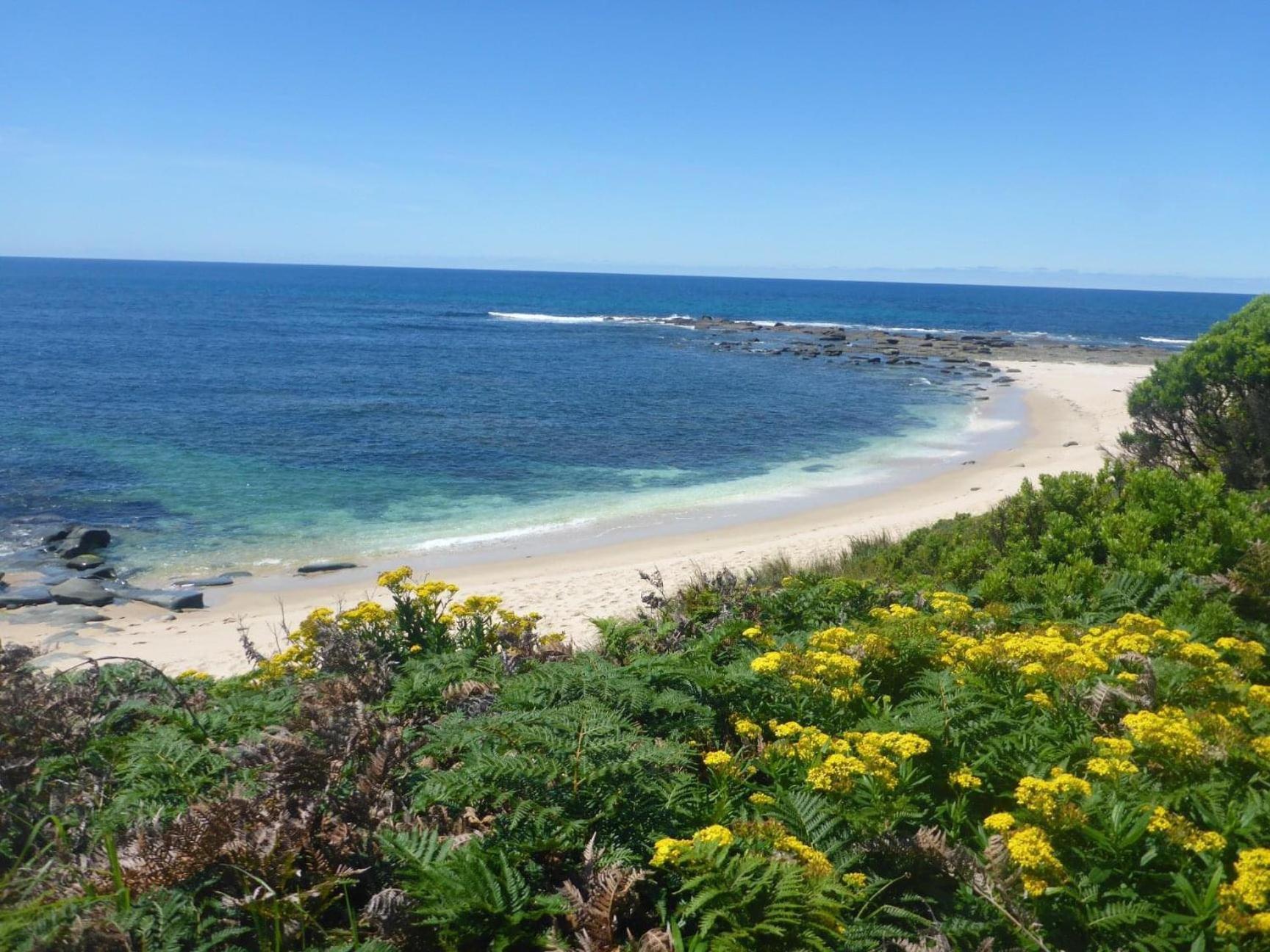 Great Ocean Road Wellness And Nature Stay Apollo Bay Luaran gambar