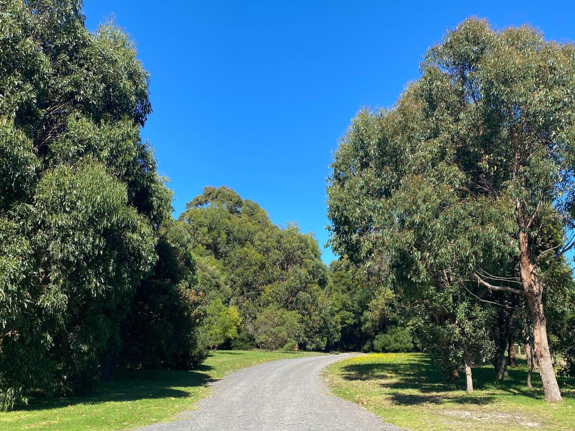 Great Ocean Road Wellness And Nature Stay Apollo Bay Luaran gambar